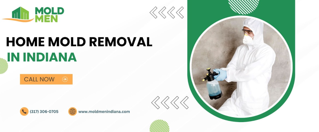 Home Mold Removal