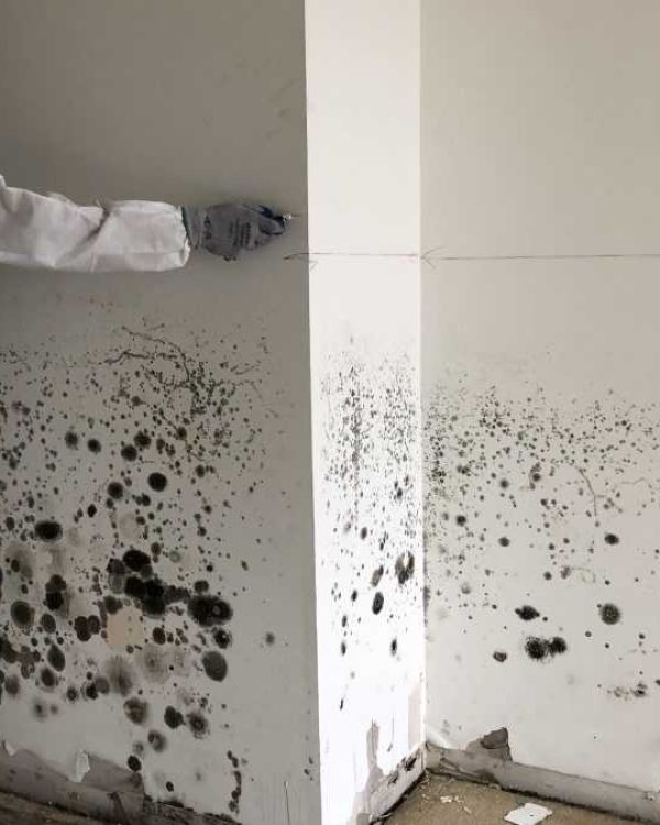 NRE-Mold-1200x675-1