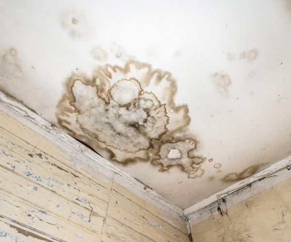 Mold and mildew spots on the ceiling or wall due to poor air ventilation and high humidity. Harm to health.